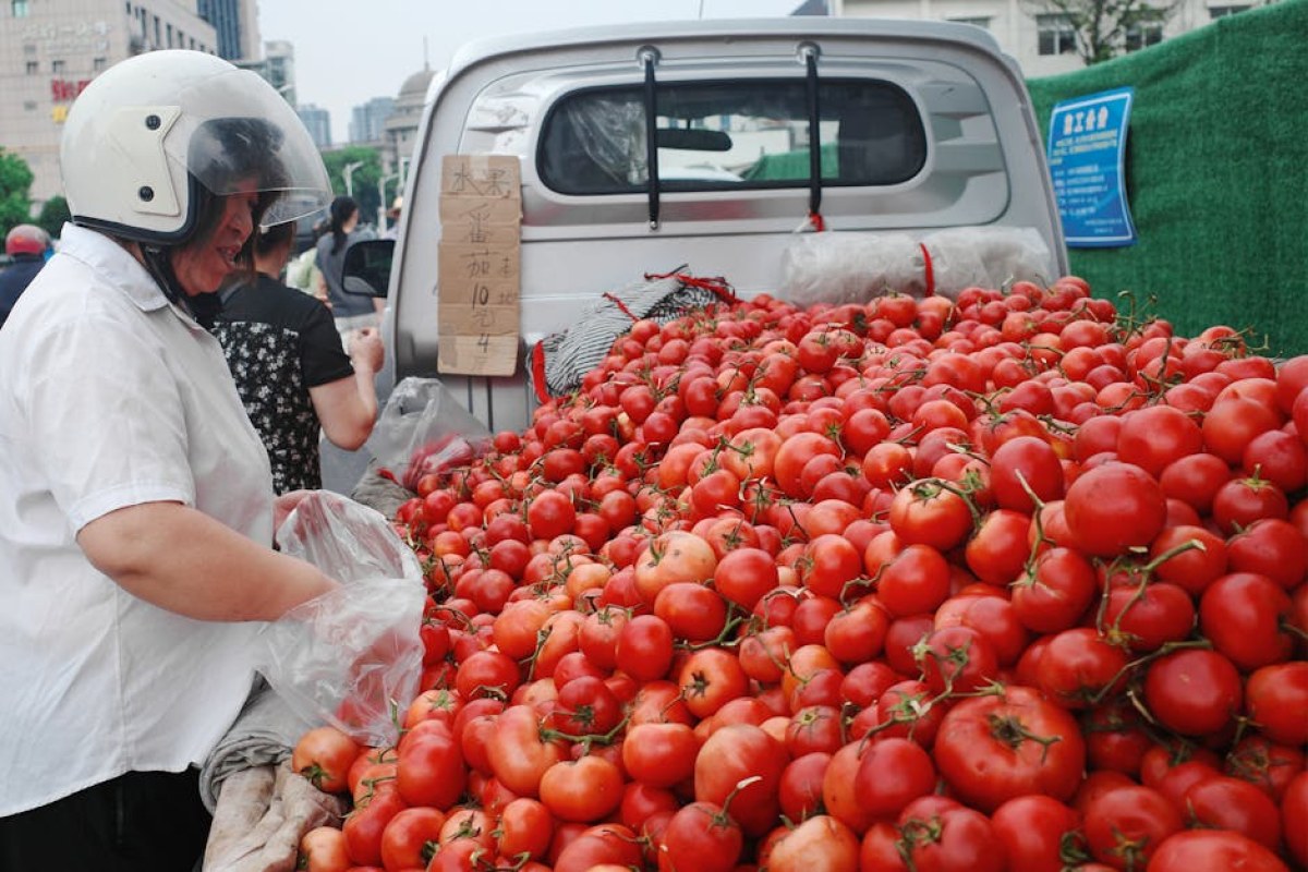 tomatoes market