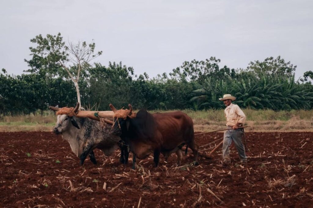 agricultural manuals