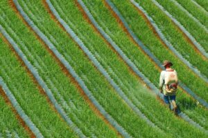 agricultural sprayer