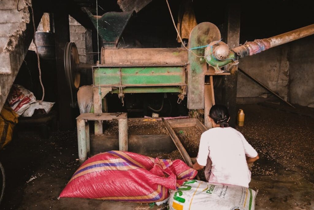 grain cleaning machine