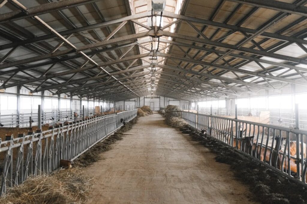 agricultural shed