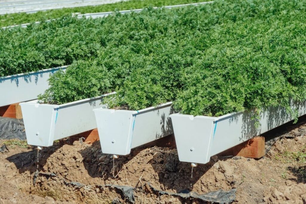 planter machine