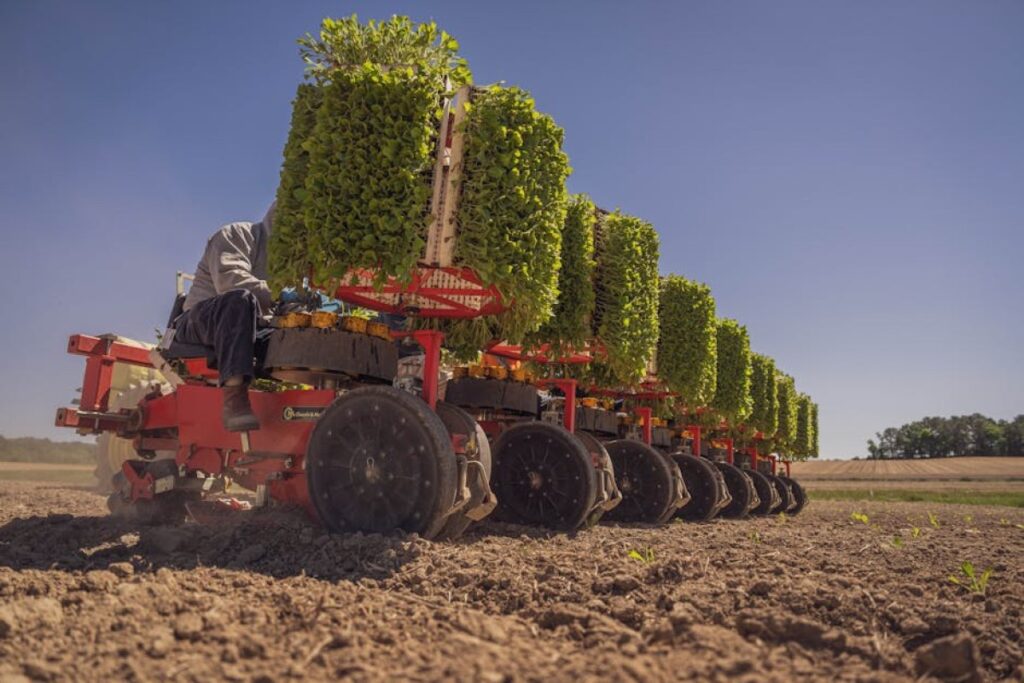 gaspardo planter
