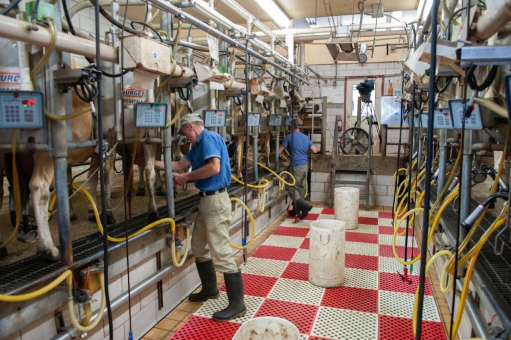 milk tank