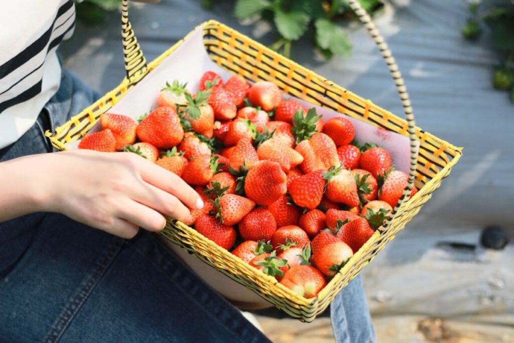 strawberries basket