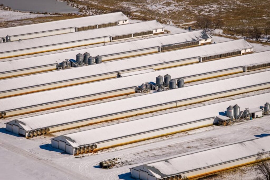 cold storage building
