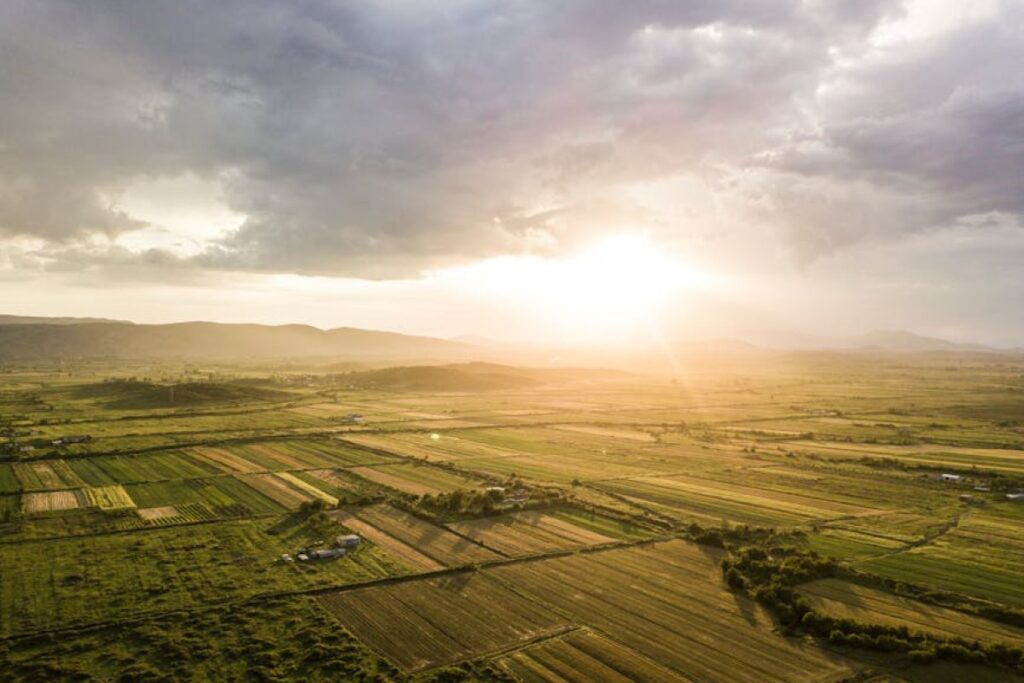 potatoes field Albania