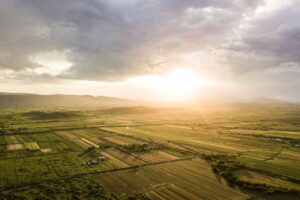 potatoes field Albania