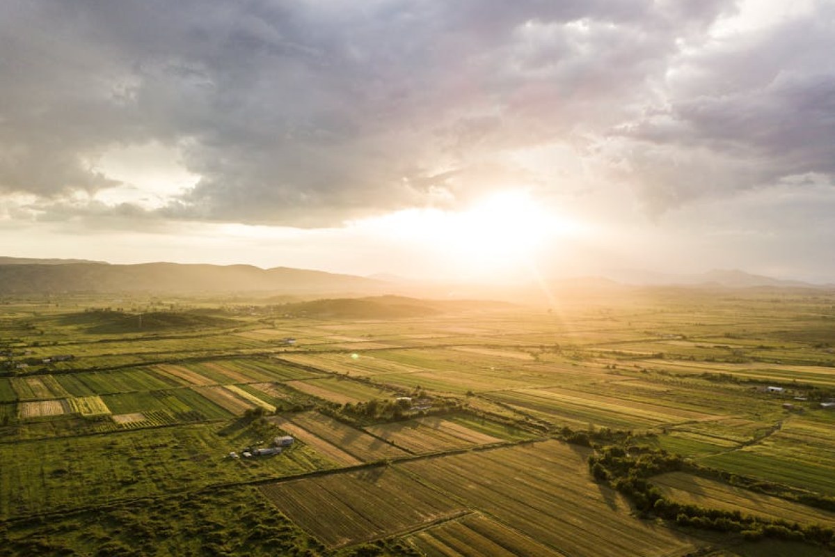 potatoes field Albania