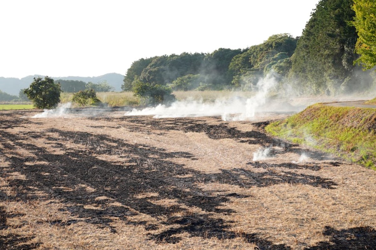 burning agricultural foil
