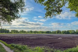 two furrow plough