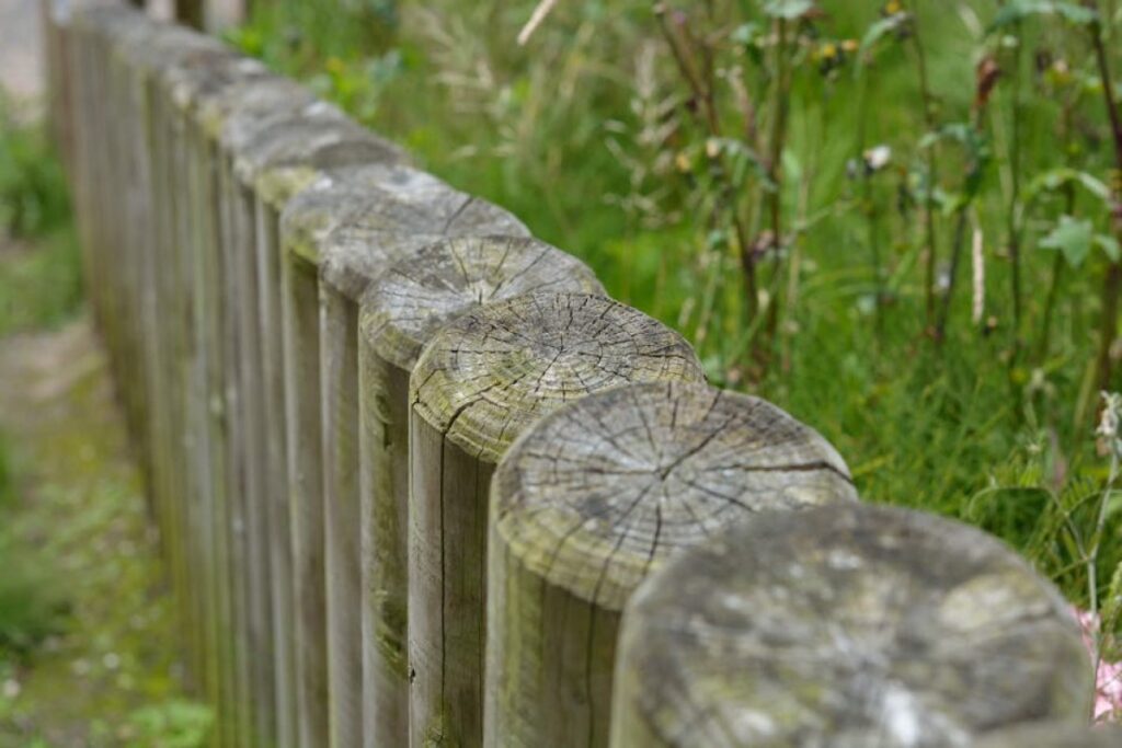 wooden fence posts