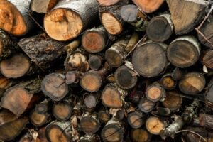 cherry wood logs
