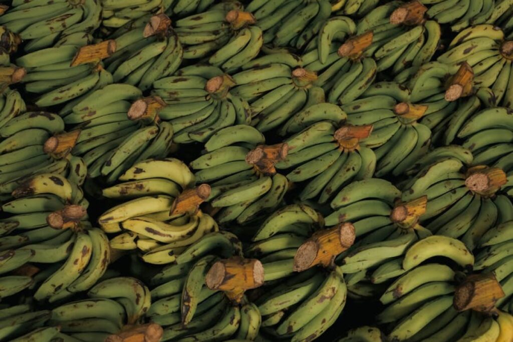 food export conference