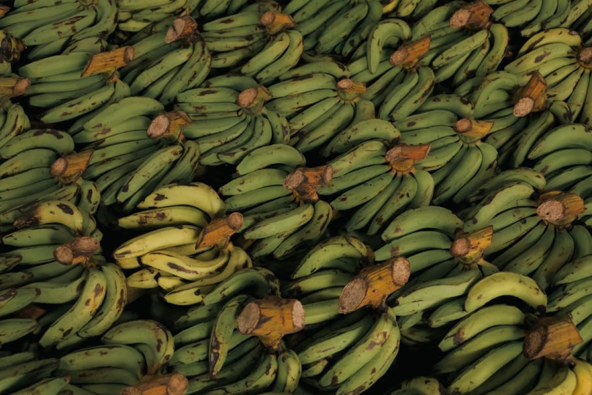 food export conference