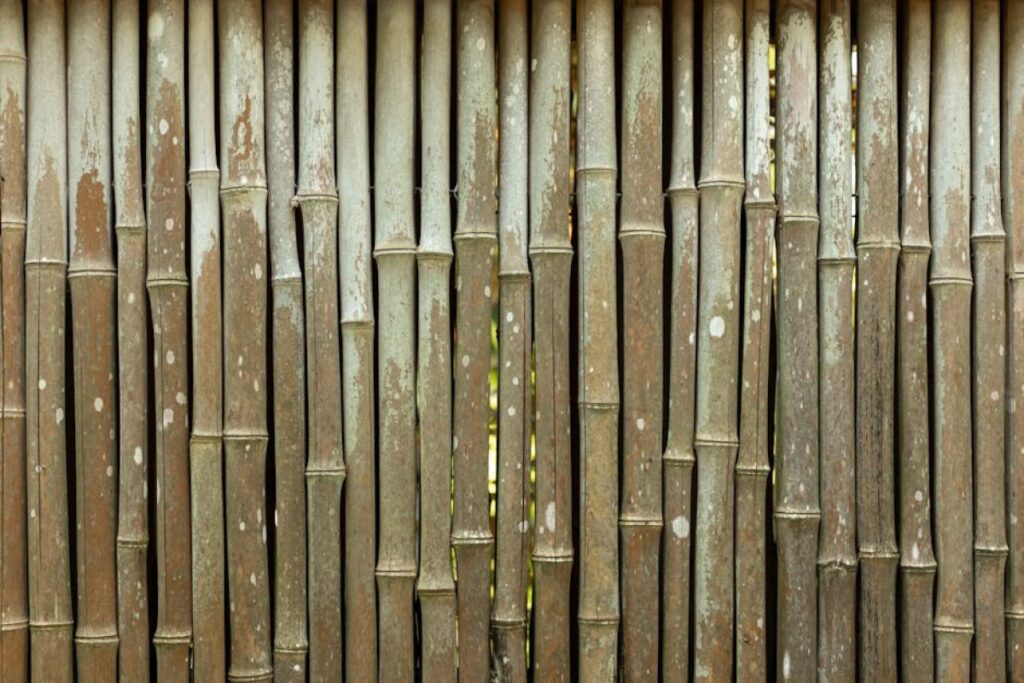 bamboo poles garden