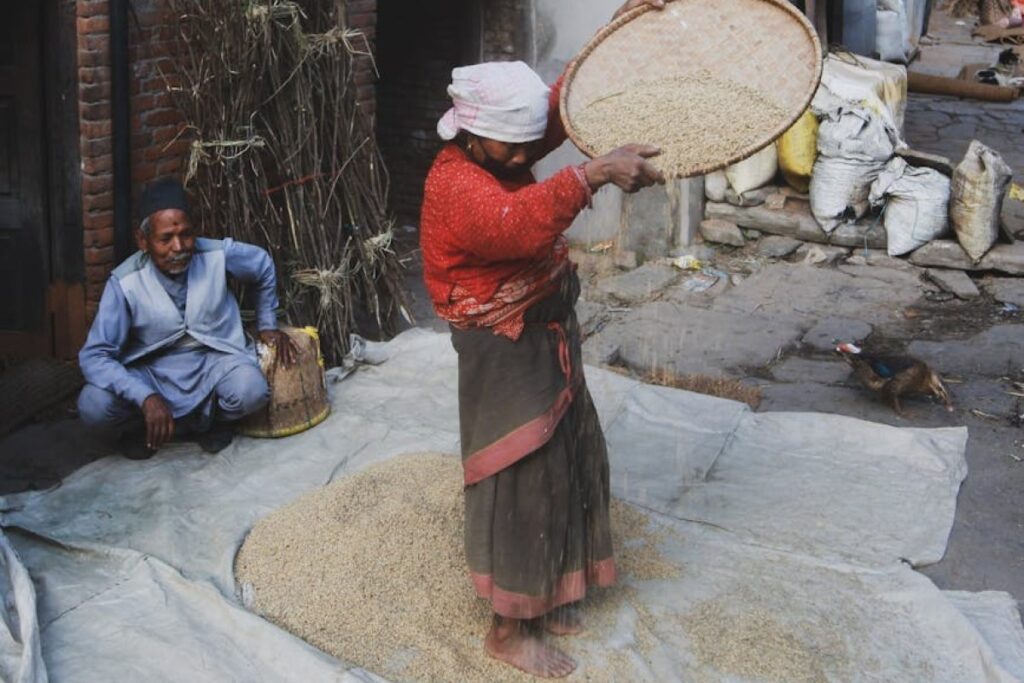 grain cleaning sieves