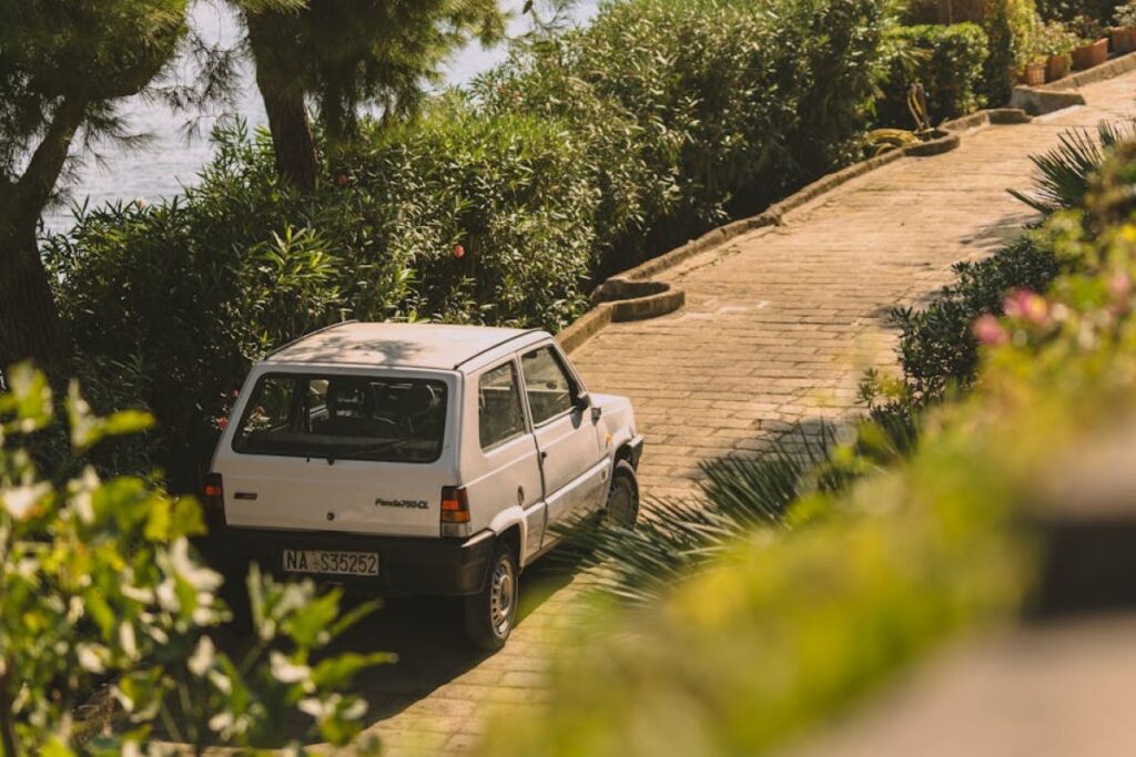 Fiat Freemont white