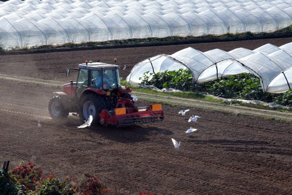 agricultural cultivator