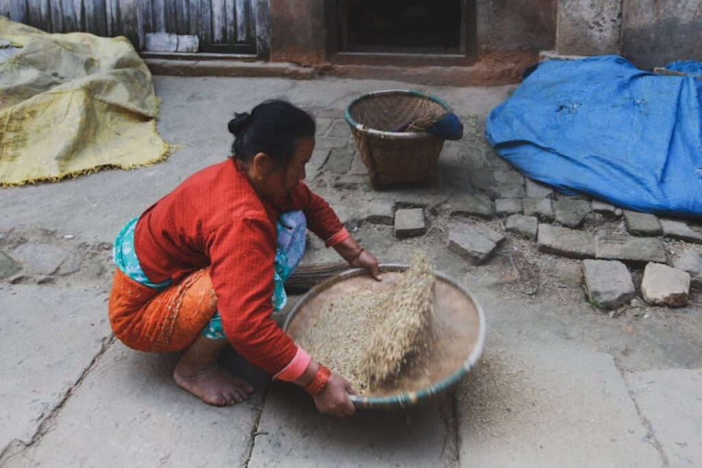 grain winnowing machine