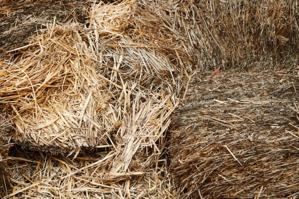 straw chopper for sale