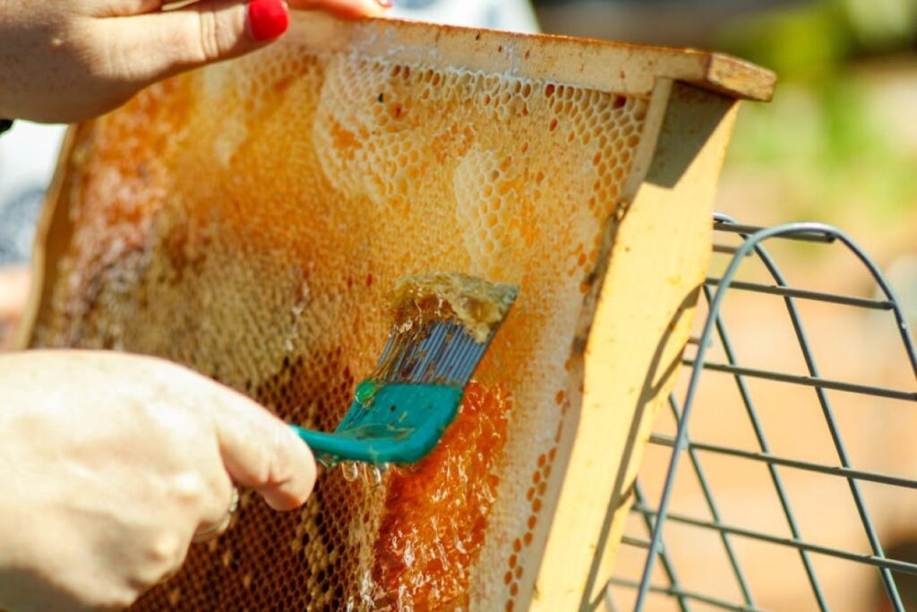 solar wax melter