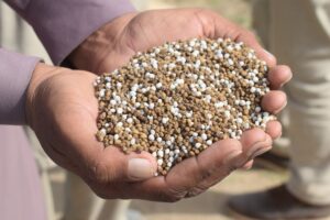 calcium nitrate fertilizer