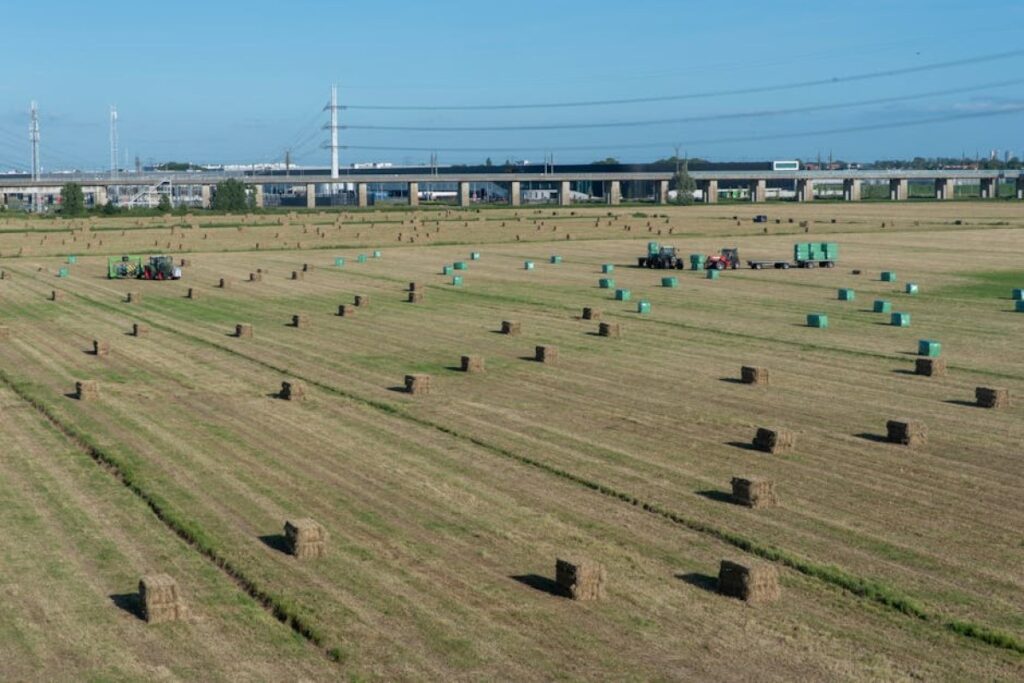 hay bales Sipma