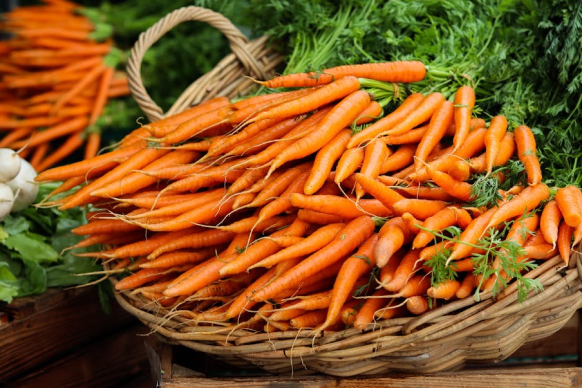 carrot market