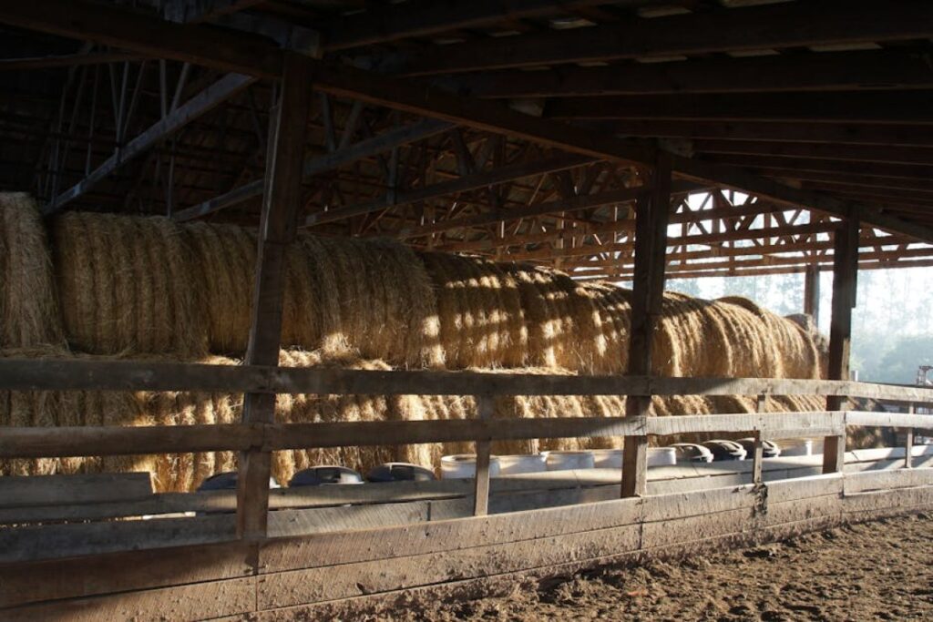 hay bales in barn