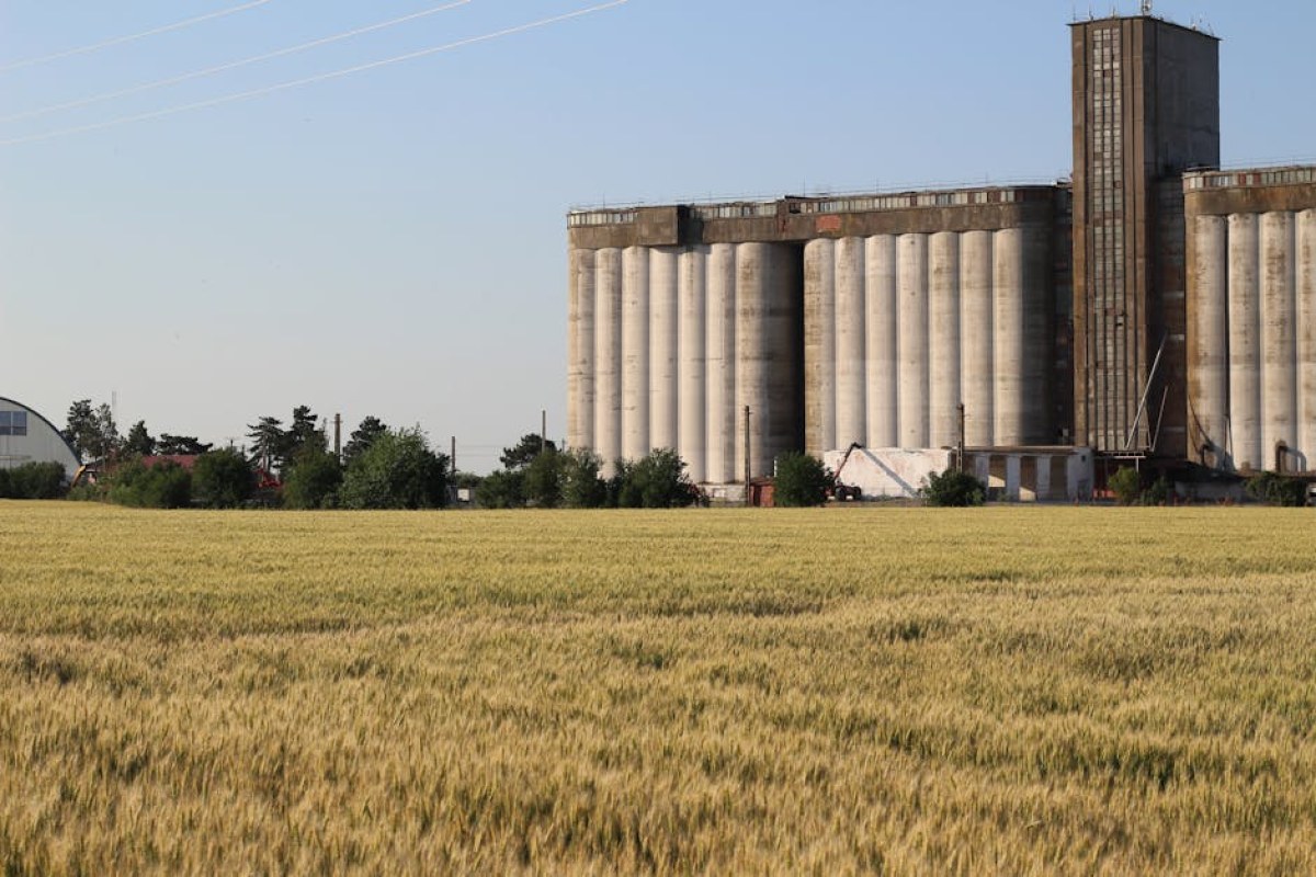 grain silos Ukraine