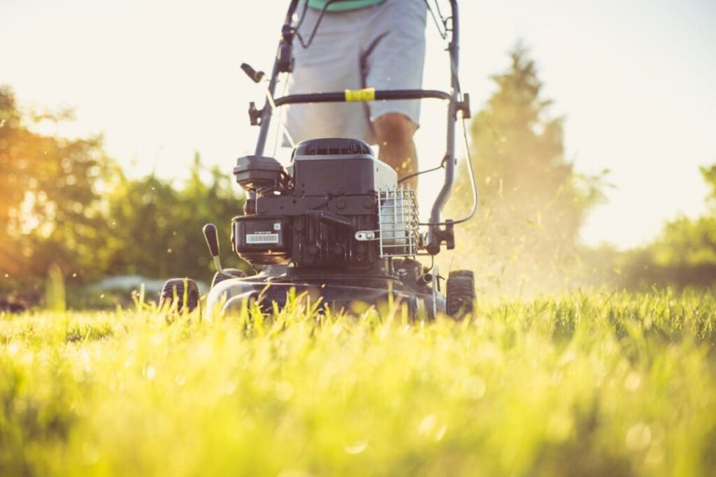 rotary mower