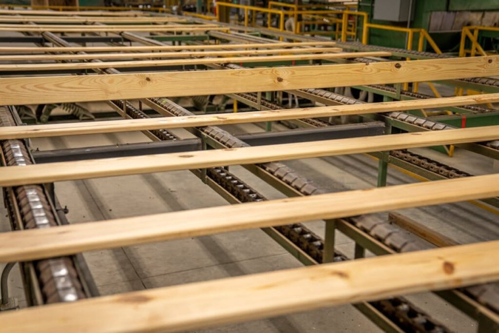 sawmill conveyor belt