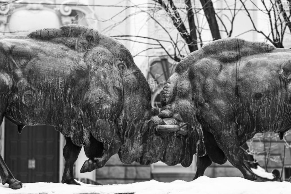 polish bulls