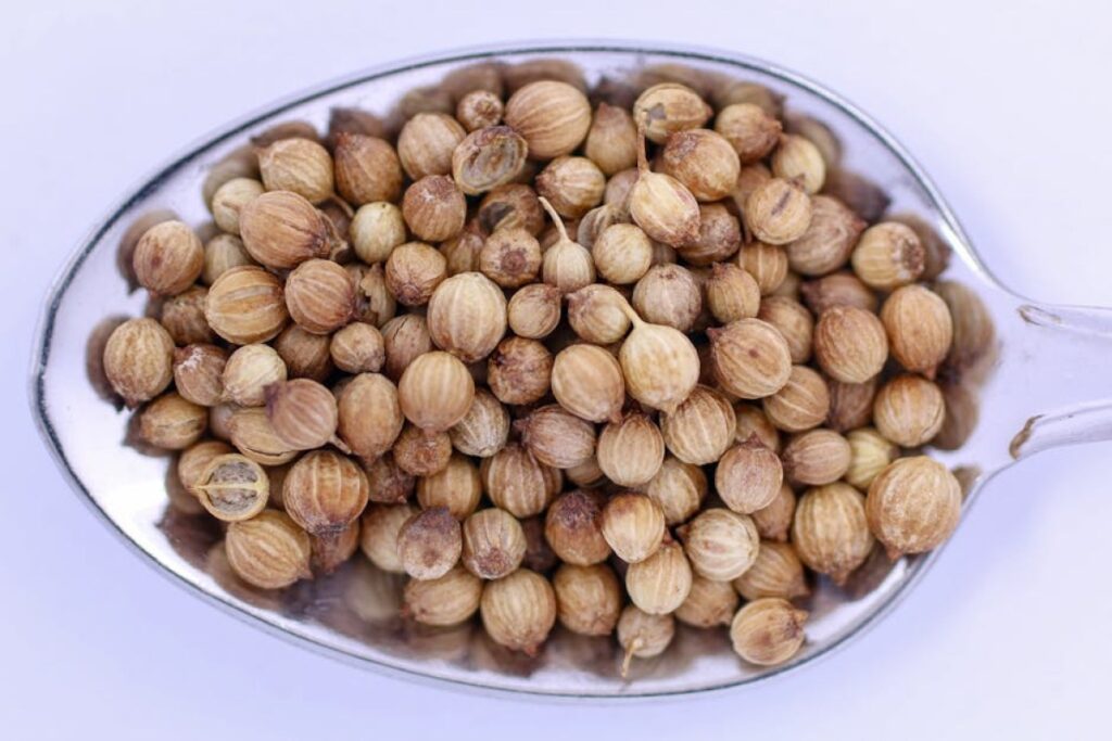 coriander seeds