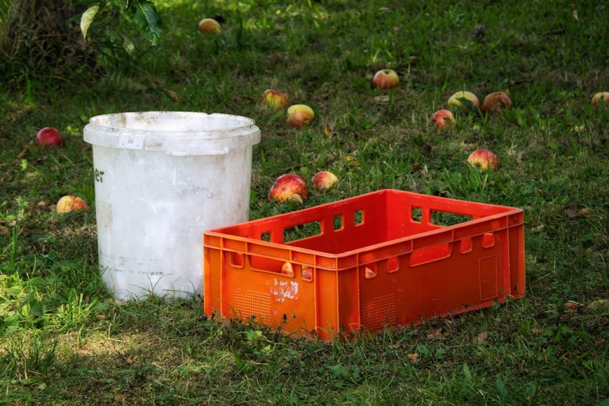 apple orchard storage