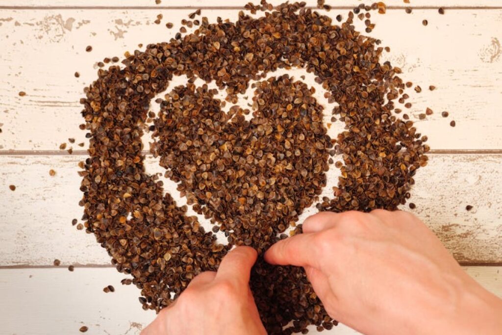 buckwheat grains