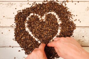 buckwheat grains