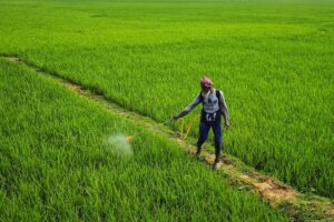agriculture pesticides regulations
