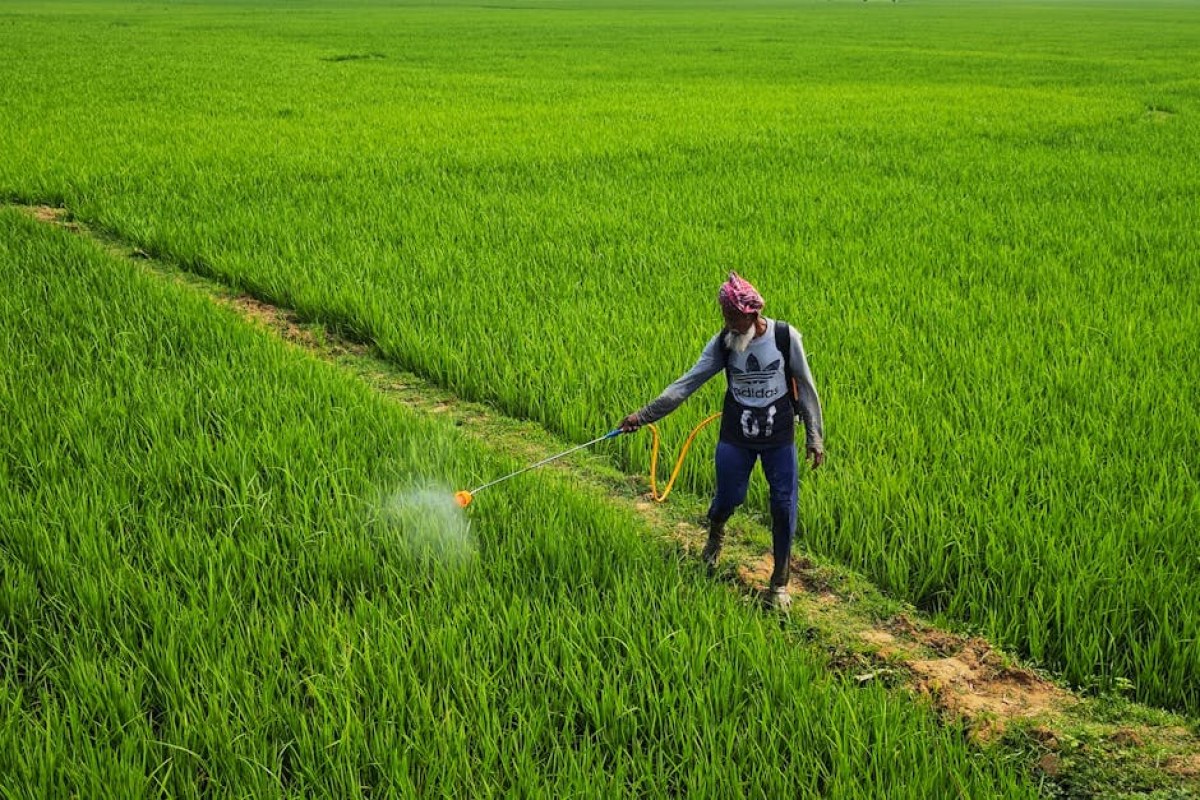 agriculture pesticides regulations
