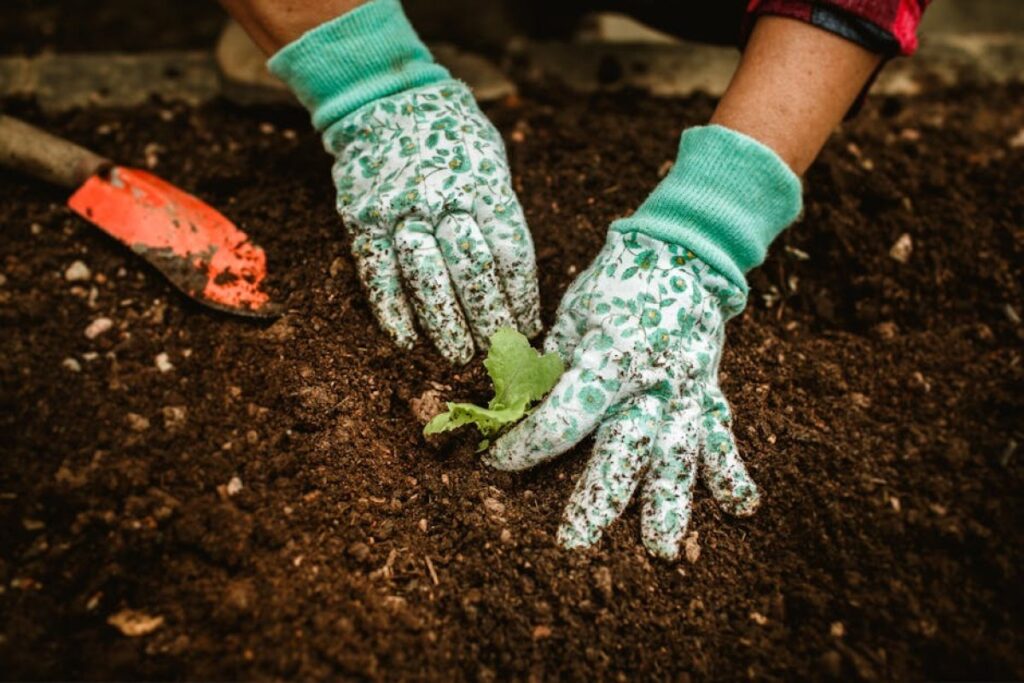 hand weeder