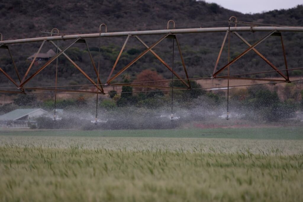 irrigation sprinkler