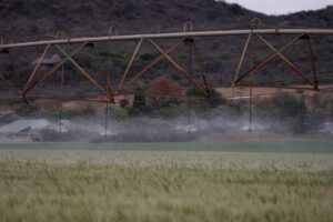 irrigation sprinkler