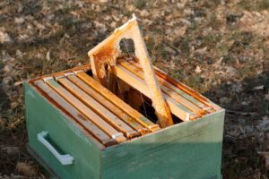 destroyed beehive