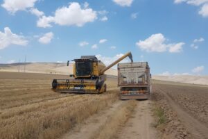 Bizon combine harvester