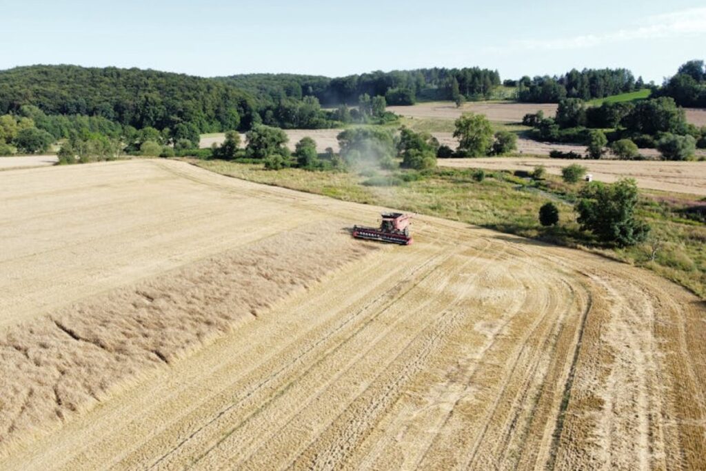 Bizon Rekord combine harvester