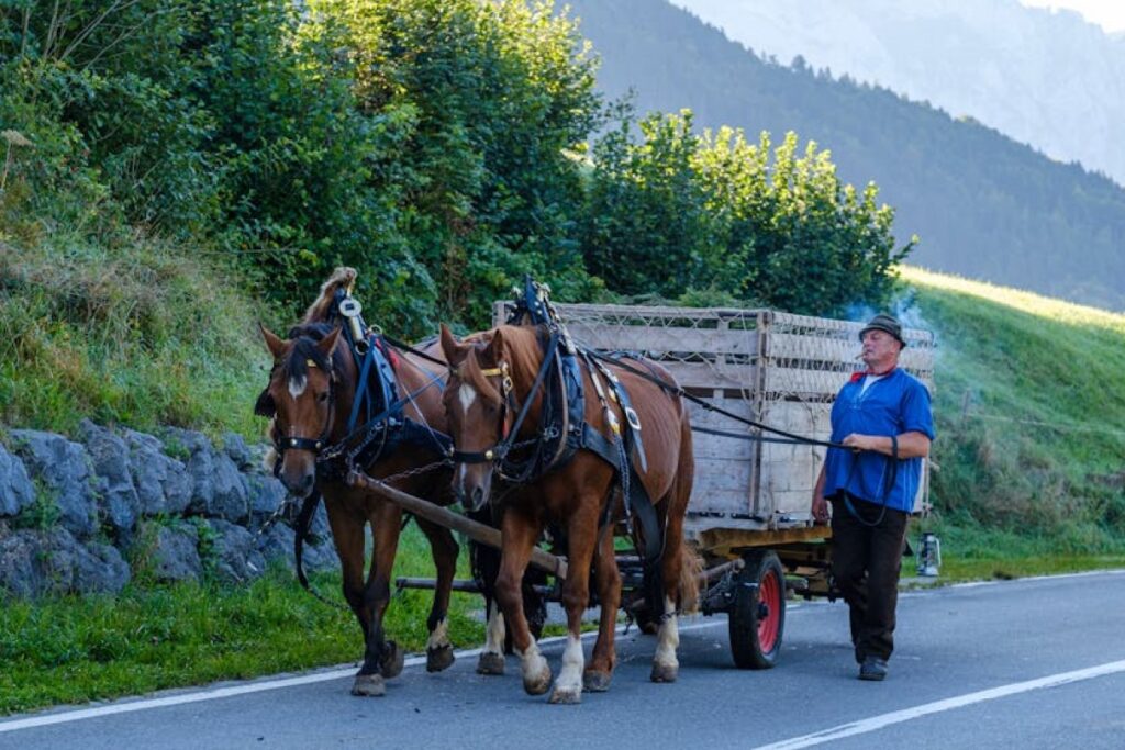 horse-drawn mower