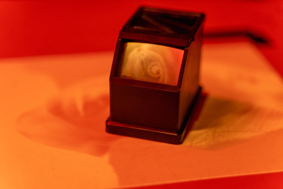 cigarette smuggling scanner