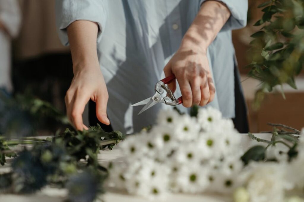 pruning shears