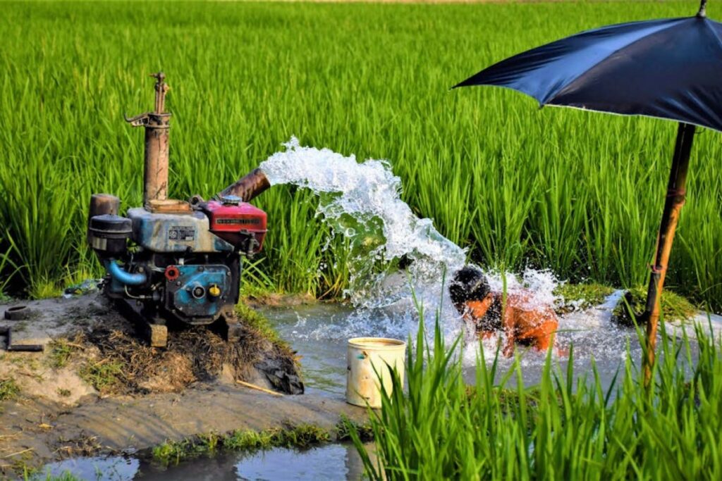 pump irrigation